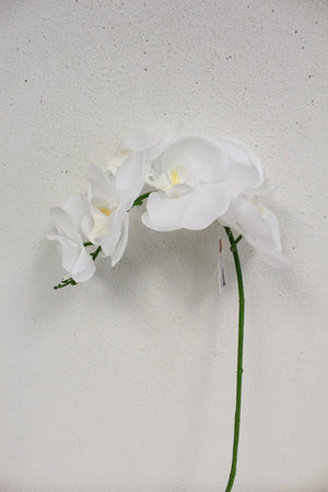 33" Real Touch Phalaenipsis (White) - Florals and Foliage
