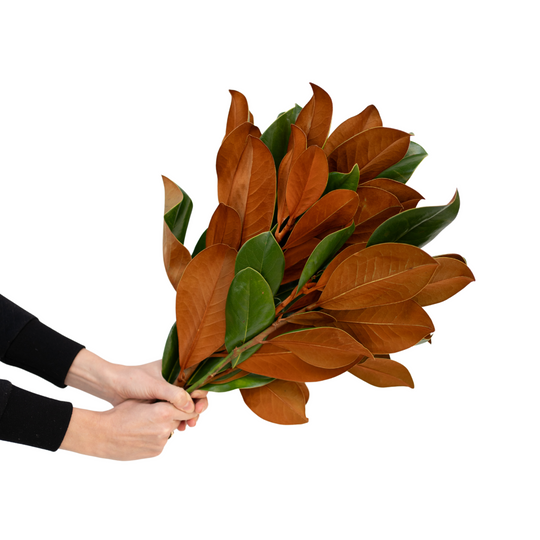 Fresh Magnolia Bundle - Southpoint Minor Hockey