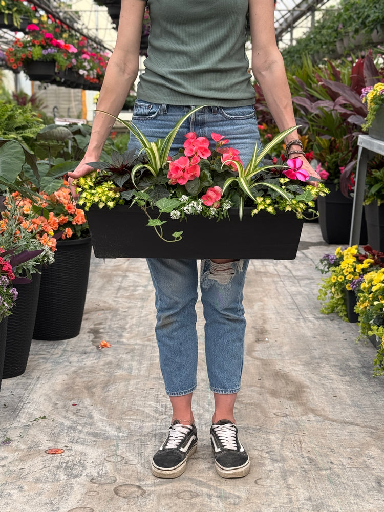24" Begonia/Impatien Window Box - Partial Sun/Shade (Multiple Colours)