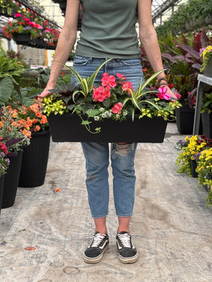 24" Begonia/Impatien Window Box - Partial Sun/Shade (Multiple Colours)