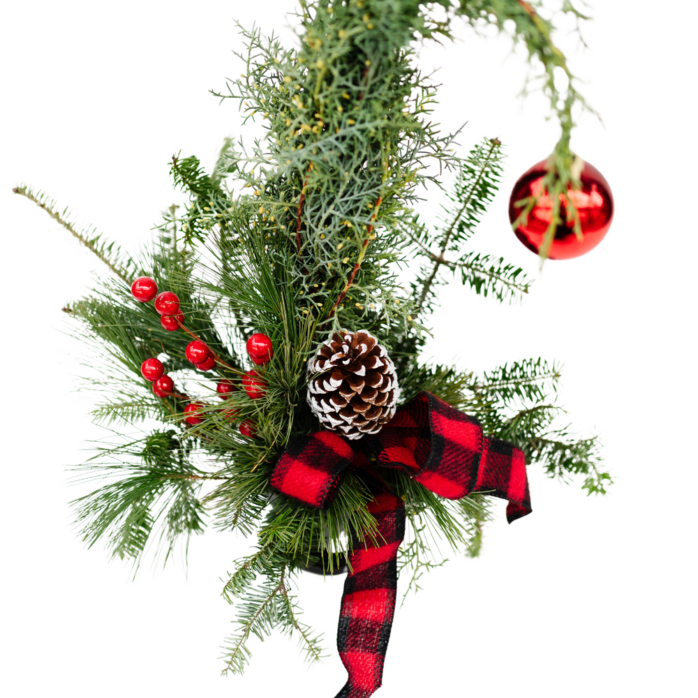 Mini Grinch Tree - Windsor Symphony Orchestra