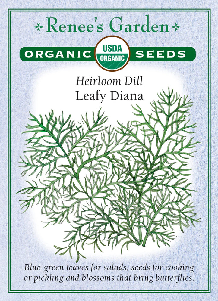 Dill Leafy Diana Organic Seeds
