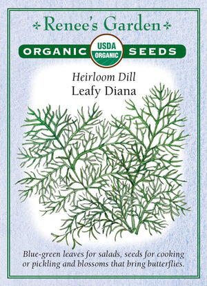 Dill Leafy Diana Organic Seeds