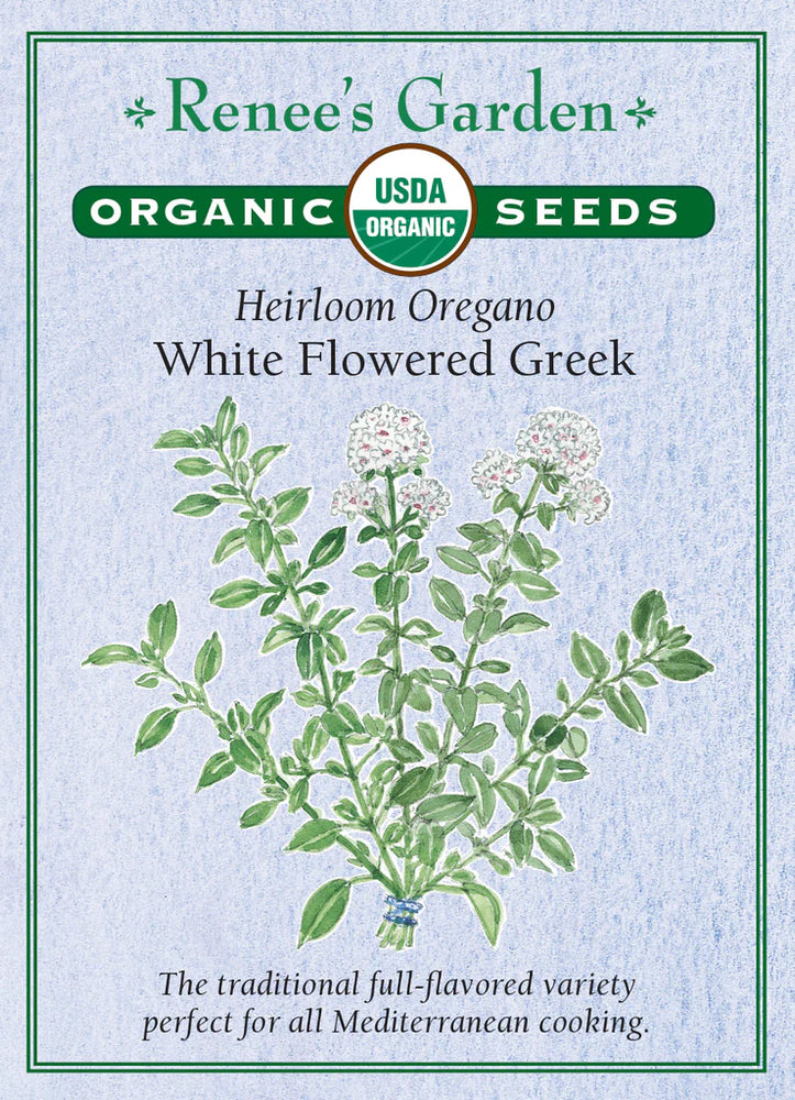 Dill Leafy Diana Organic Seeds