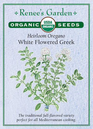 Dill Leafy Diana Organic Seeds