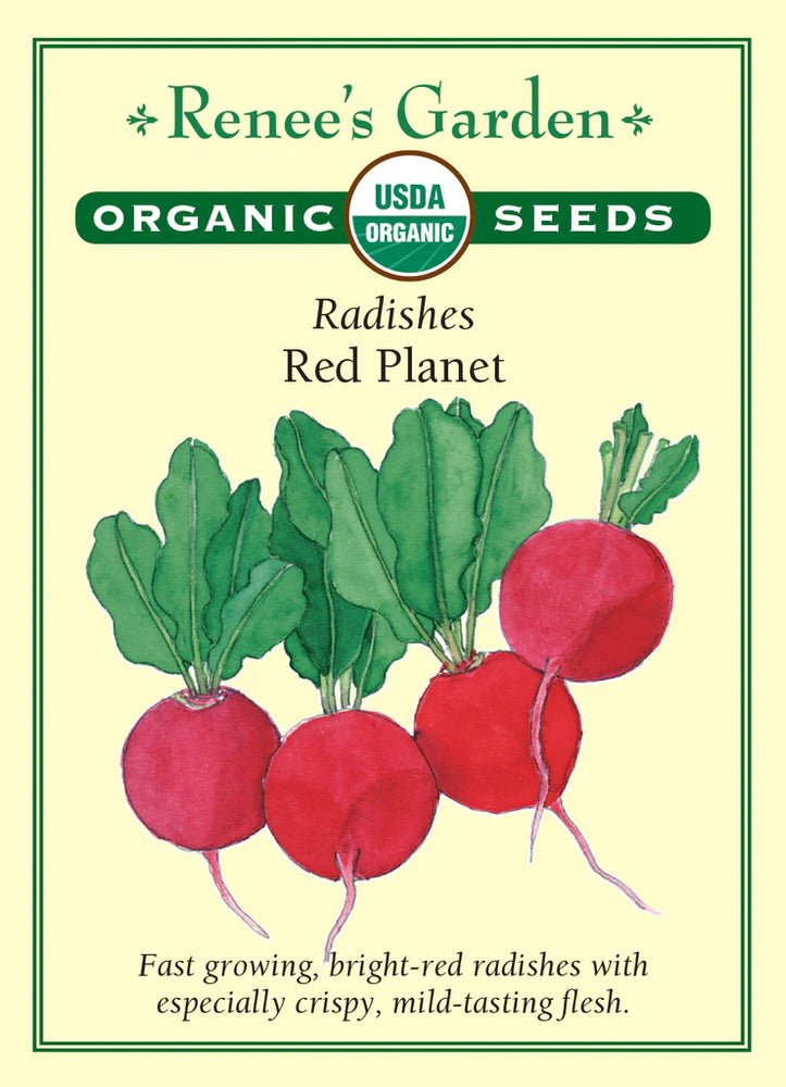 Radish Red Planet Organic