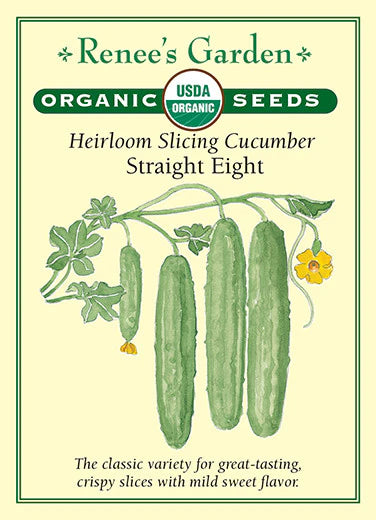 Cucumber Straight Eight Organic Seeds