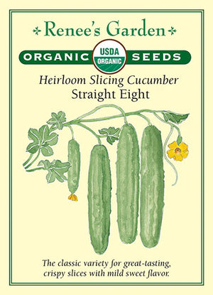 Cucumber Straight Eight Organic Seeds