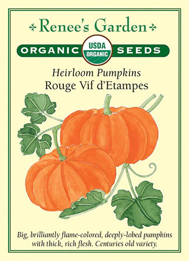 Pumpkin Rouge Vif d'Etampes Organic Seeds