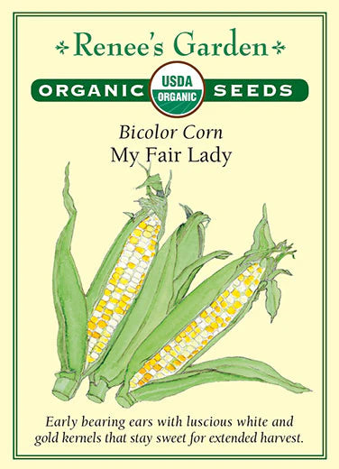 Corn My Fair Lady Bicolor Organic Seeds