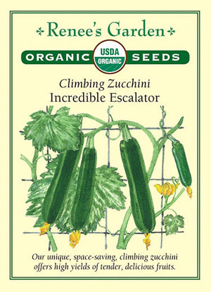 Squash Summer Zucchini Incredible Escalator Organic
