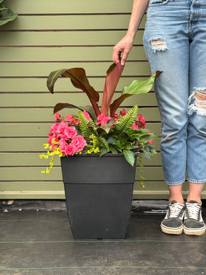 14" Square Hendrix Patio Pot: Partial Sun/Shade (Multi-Colours)