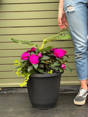 14” Round New Guinea Patio Pot Mix - Sun/Shade (Multiple Colours)