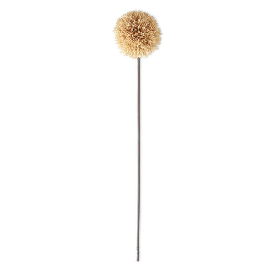 26 Inch Tan Allium Stem - Florals and Foliage