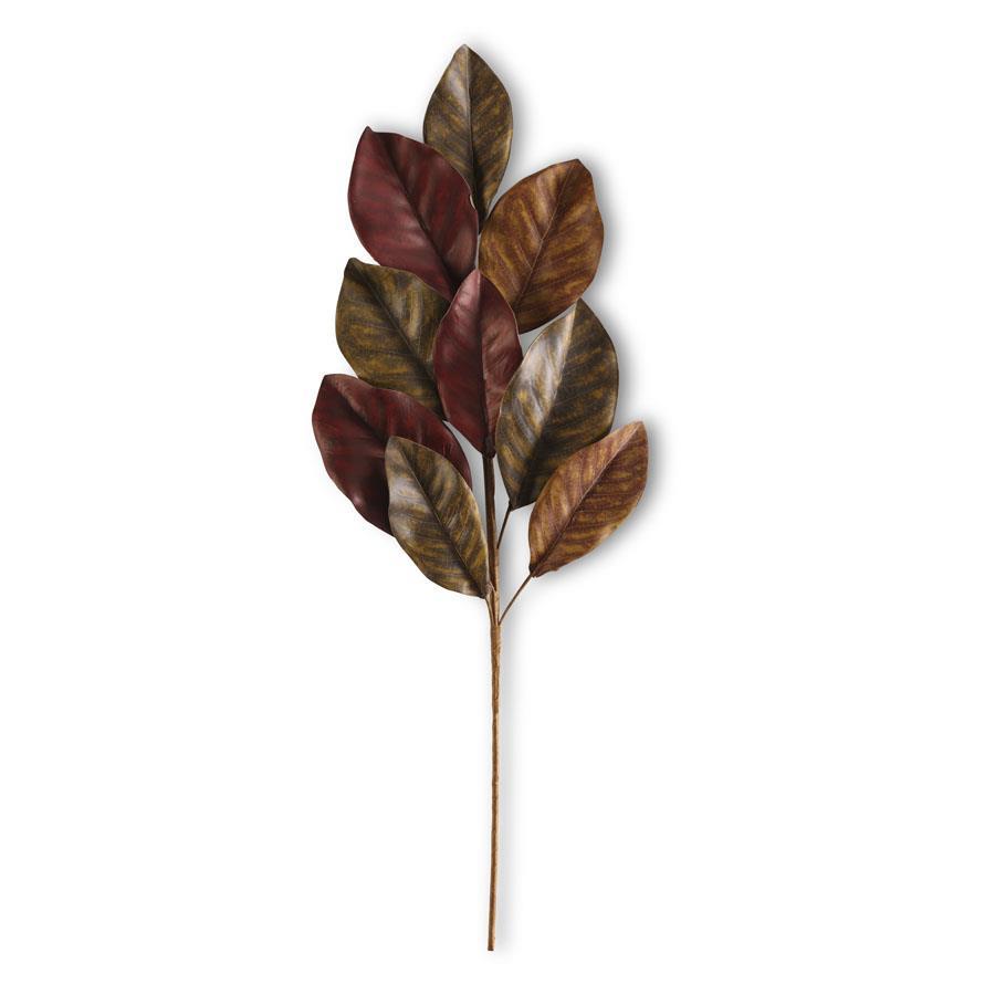 24" Brown Magnolia Leaf Stem - Florals and Foliage