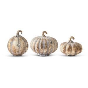 
            
                Load image into Gallery viewer, Matte Champagne Pumpkin S ( Assorted Styles)
            
        