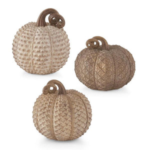 
            
                Load image into Gallery viewer, Assorted Resin Beige Textured Pumpkins
            
        