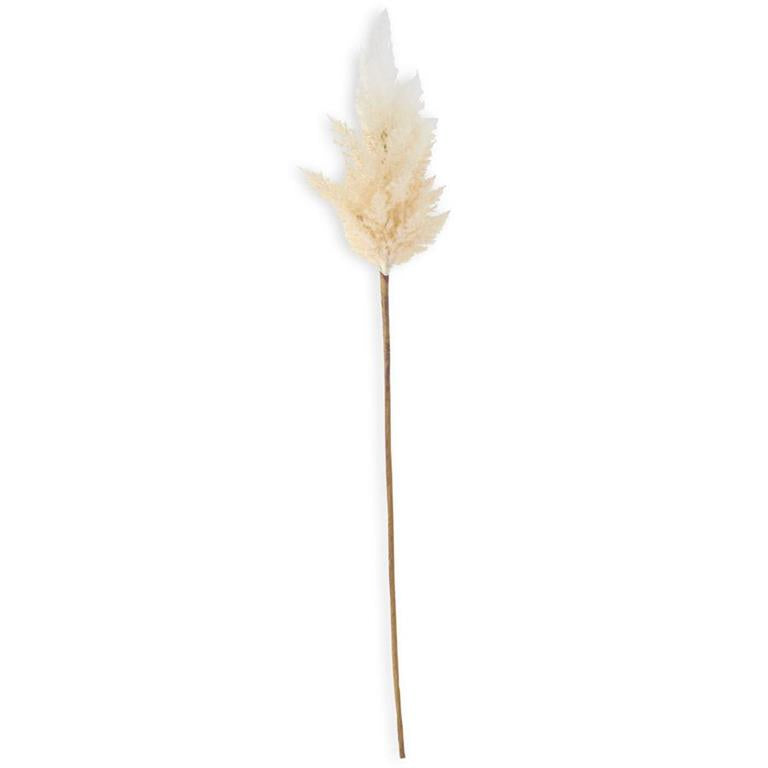 35" Flocked Cream Pampas Grass Branch - Florals and Foliage