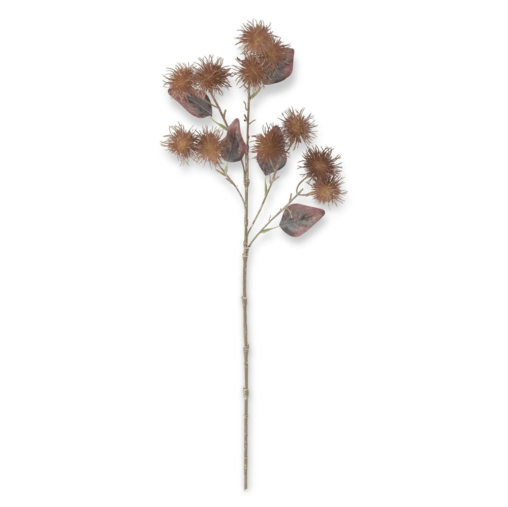 25" Light Brown Thistle Stem - Florals and Foliage