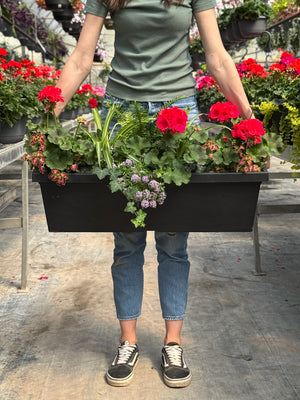 30" Tuscany Geranium Window Box (Multiple Colours)