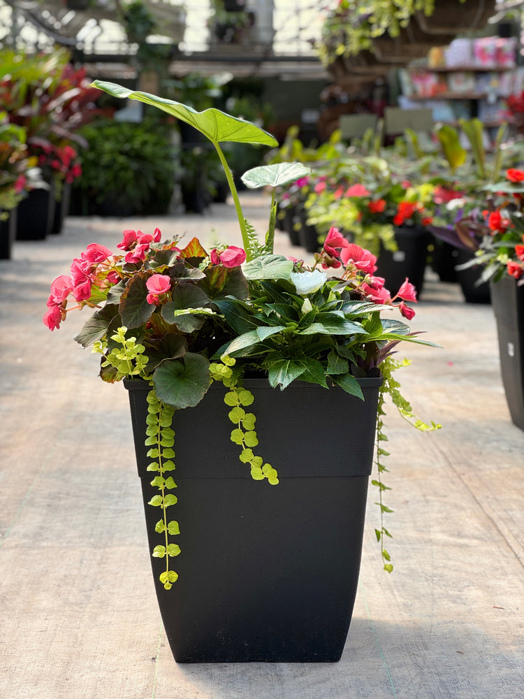 14" Square Hendrix Patio Pot: Partial Sun/Shade (Multi-Colours)
