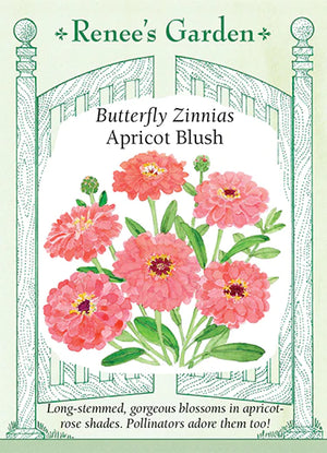Zinnia Apricot Blush