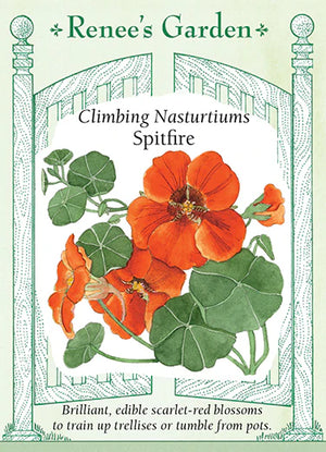 Spitfire Nasturtiums Seeds
