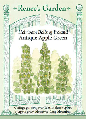 
            
                Load image into Gallery viewer, Bells of Ireland
            
        