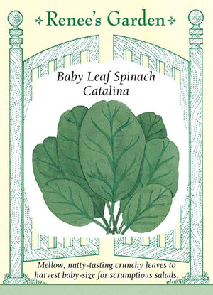 
            
                Load image into Gallery viewer, Catalina Baby Leaf Spinach
            
        