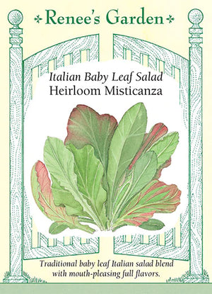 
            
                Load image into Gallery viewer, Lettuce Italian Misticanza Mesclun
            
        