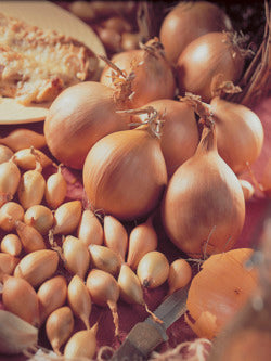 Sturon Onion Bulbs