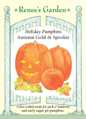 
            
                Load image into Gallery viewer, Pumpkin Autumn Gold &amp;amp; Spookie Mix
            
        