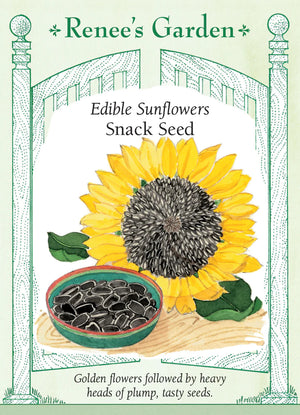 Snack Seed Edible Sunflower
