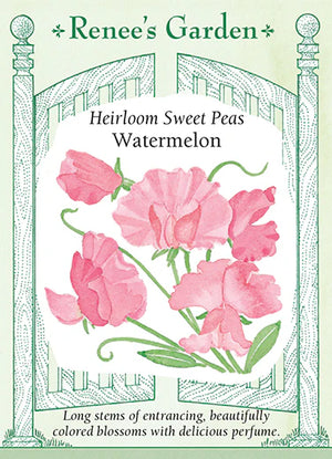 Heirloom Sweet Peas Watermelon Seeds
