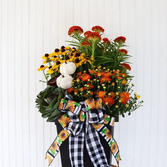 10" Tuscany Supreme Autumn Planter Workshop (Sat. Sept. 26 @ 2PM)