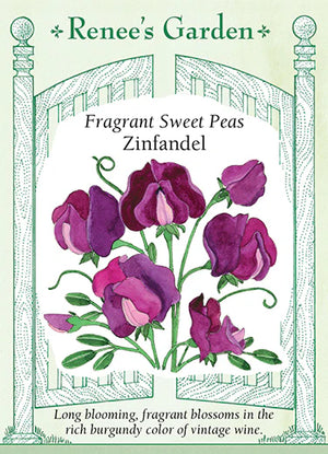Fragrant Sweet Peas Zinfandel Seeds