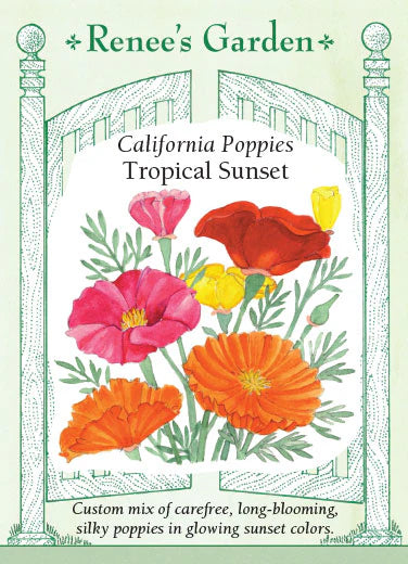 California Poppies Tropical Sunset Seeds