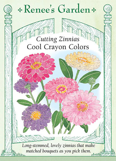 Cool Crayon Colors Zinnia