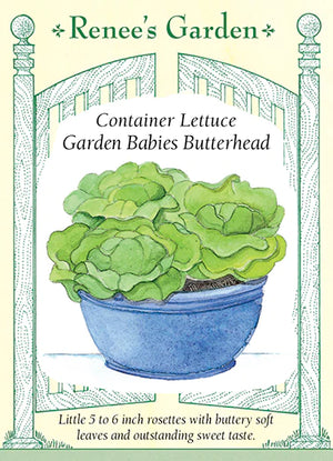 
            
                Load image into Gallery viewer, Garden Babies Lettuce
            
        