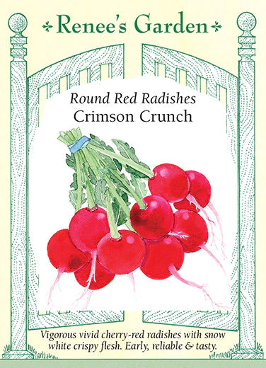 Crimson Crunch Radish