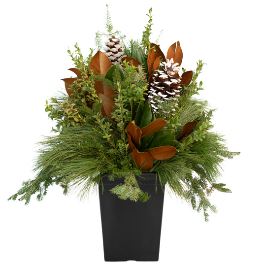 10" Square Natural Premium Winter Planter