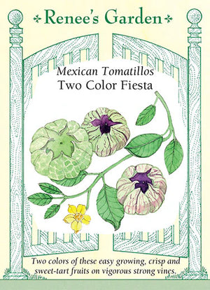 Tomatillo Fiesta Duo Seeds