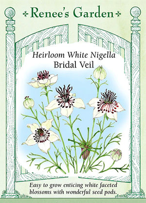 Nigella Bridal Veil White