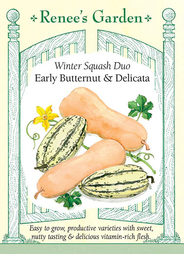 Squash Winter Butternut & Delicata Seeds