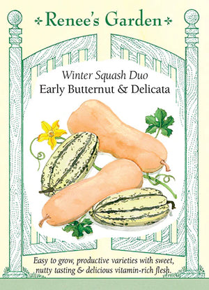 Squash Winter Butternut & Delicata Seeds