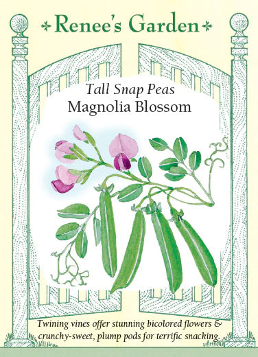 
            
                Load image into Gallery viewer, Magnolia Blossom Snap Pea
            
        