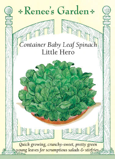 Little Hero Container Spinach