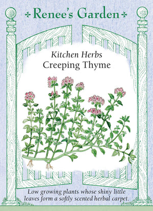 Thyme Creeping Seeds
