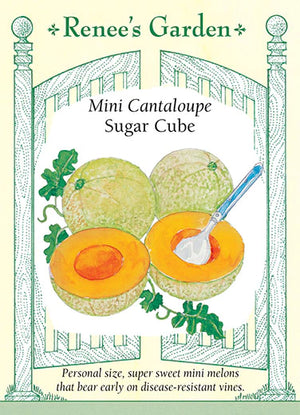 Melon Cantaloupe Mini Sugar Cube