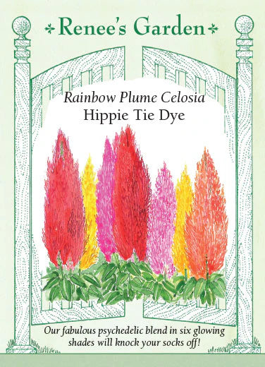 Celosia Hippie Tie Dye Mix Seeds